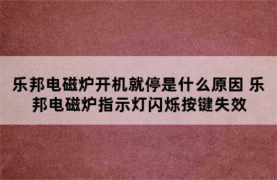 乐邦电磁炉开机就停是什么原因 乐邦电磁炉指示灯闪烁按键失效